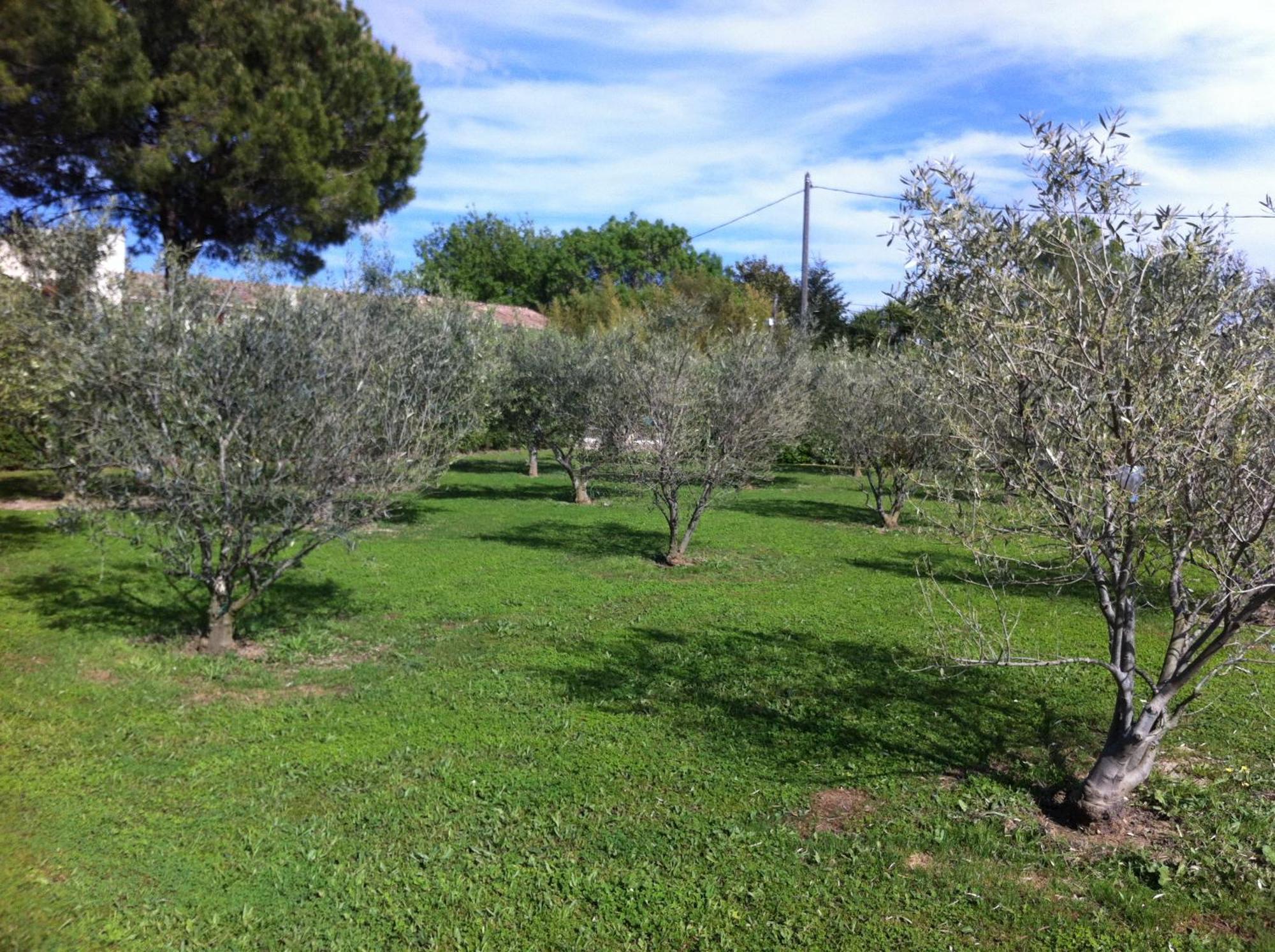 Le Micocoulier Διαμέρισμα La Crau Εξωτερικό φωτογραφία